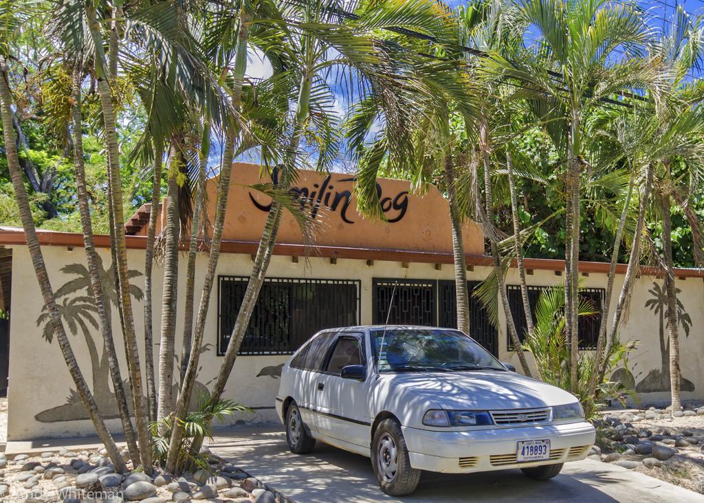 Casa Smilin' Dog Apartamento Tamarindo Exterior foto